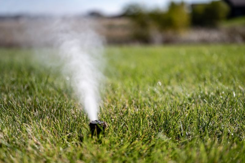 Sprinkler Blowout Service