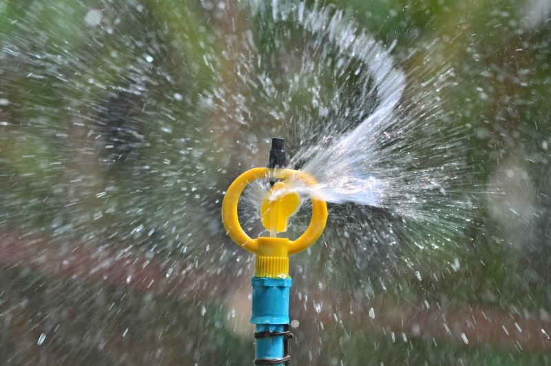 Sprinkler Blowout Service