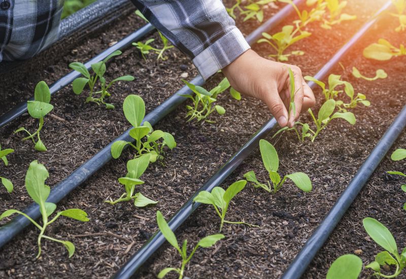 Irrigation System Replacement in Ventura County, CA