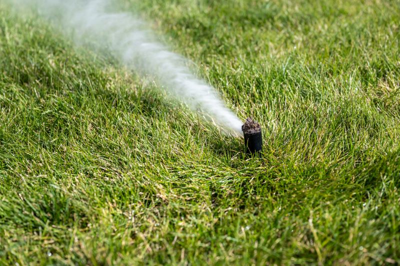 Sprinkler Blowout Service