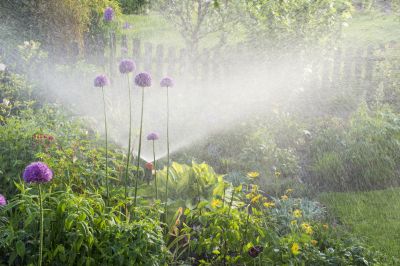 Prolongs Sprinkler System Lifespan
